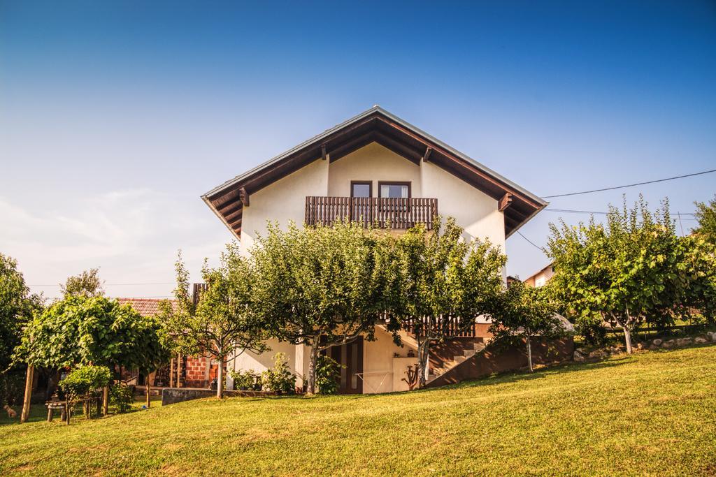 Silvia Apartman Szluin