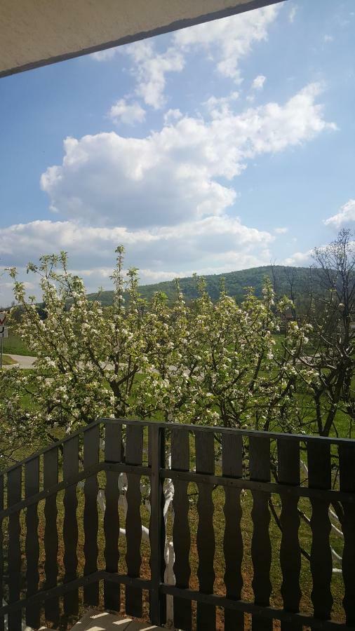 Silvia Appartamento